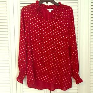 Long sleeve dressy blouse